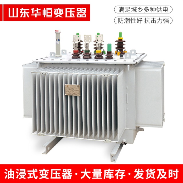S13-10000/35双牌双牌双牌电力变压器